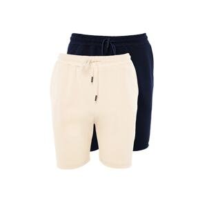 Trendyol Navy Blue-Stone Men's Basic Regular/Normal Fit 2-Pack Shorts