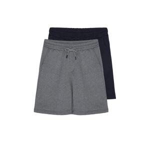 Trendyol Anthracite-Navy Men's Basic Regular/Normal Fit Straight 2-Pack Shorts