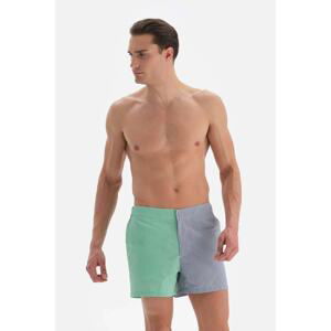 Dagi Green Blue Striped Men's Shorts With A Belt