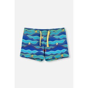 Dagi Sax Blue Sail Patterned Shorts