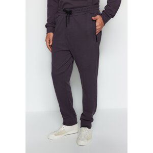 Trendyol Limited Edition Anthracite Men's Regular/Normal Fit Zipper Pocket Thick Sweatpants