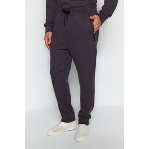 Trendyol Limited Edition Anthracite Men's Regular/Normal Cut Zipper Pocket Thick Sweatpants