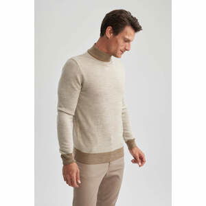 DEFACTO Regular Fit Turtleneck Knitwear Pullover