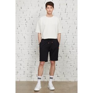 ALTINYILDIZ CLASSICS Men's Black Standard Fit Regular Fit Cotton Pocket Shorts