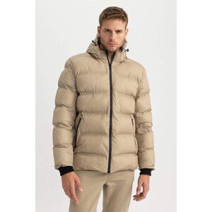 DEFACTO Slim Fit Hooded Lined Puffer Jacket