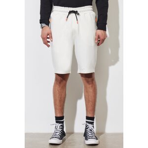 ALTINYILDIZ CLASSICS Men's Ecru Standard Fit Regular Fit Cotton Pocket Shorts