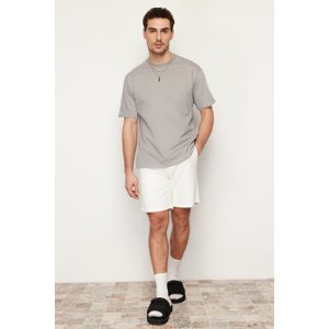 Trendyol Gray Men's Relaxed/Comfortable Cut Basic 100% Cotton T-Shirt
