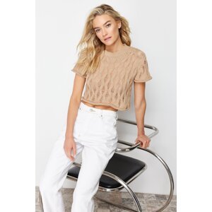 Trendyol Mink Padded Crop Slotted/Hollowed Knit Sweater