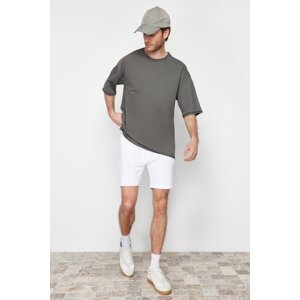 Trendyol White Men's Regular/Normal Cut Basic Shorts