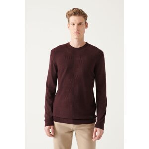 Avva Men's Burgundy Crew Neck Front Textured Standard Fit Normal Cut Knitwear Sweater
