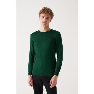 Avva Men's Green Crew Neck Wool Blend Standard Fit Regular Cut Knitwear Sweater