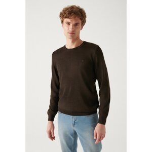 Avva Men's Brown Crew Neck Wool Blend Standard Fit Regular Cut Knitwear Sweater