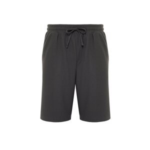 Trendyol Limited Edition Smoked Men's Oversize/Wide Cut Textured Non-Wrinkle Ottoman Shorts