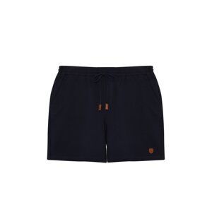 Trendyol Plus Size Navy Blue Men's Regular/Normal Cut PU Label Appliqued Shorts