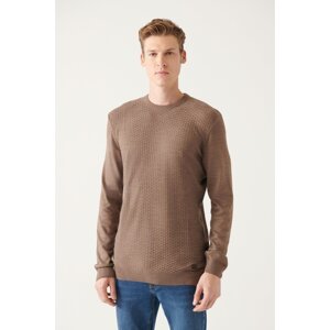 Avva Men's Mink Crew Neck Front Textured Standard Fit Normal Cut Knitwear Sweater
