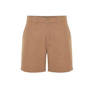 Trendyol Mink Men's Regular Fit Shorts Bermuda