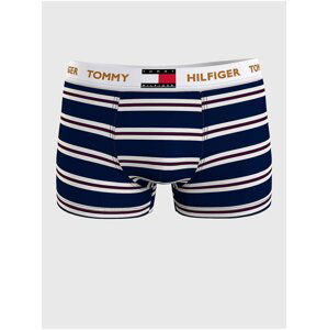 Bílo-modré pánské pruhované boxerky Tommy Hilfiger Underwear - Pánské