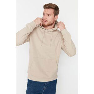 Trendyol Beige Basic Regular/Normal Cut Hooded Fleece Inside Sweatshirt