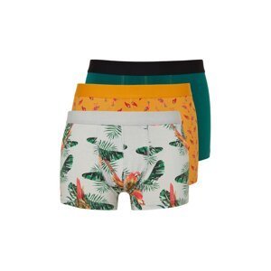 Trendyol Multi-Colored 3-Piece Tropical Patterned-Straight Pack Cotton Boxer