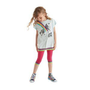 mshb&g Rainbow Zebra Girl's T-shirt Tights Set