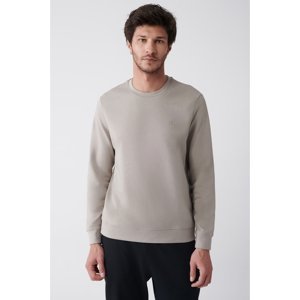 Avva Men's Stoneware Crew Neck Cotton 2 Threads Not Raised Stretchy Flexible Comfort Fit Sweatshirt