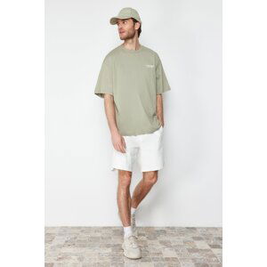 Trendyol Mint Oversize/Wide-Fit Text Printed Short Sleeve 100% Cotton T-Shirt