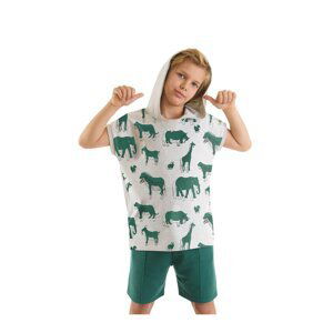 mshb&g Animals Boys T-shirt Shorts Set