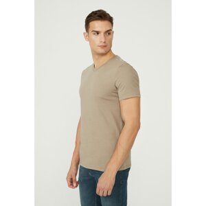 Avva Men's Mink 100% Cotton V Neck Regular Fit T-shirt