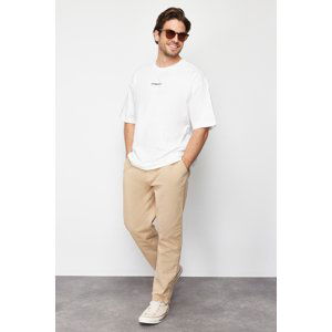 Trendyol Men's Limited Edition Mink Regular Fit Chino Trousers