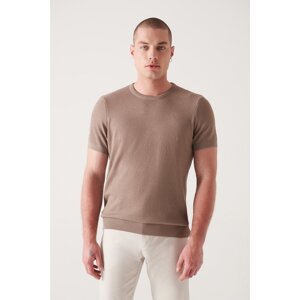 Avva Men's Mink Crew Neck Textured Ribbed Standard Fit Normal Cut Knitwear T-shirt