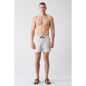 Avva Men's Gray Quick Dry Standard Size Flat Swimwear Marine Shorts