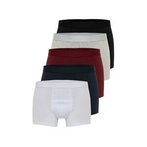 Trendyol Multicolor Multicolor Basic 5 Pack Cotton Boxers