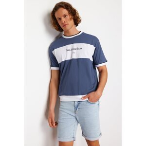 Trendyol Indigo Relaxed Color Block Printed 100% Cotton T-Shirt