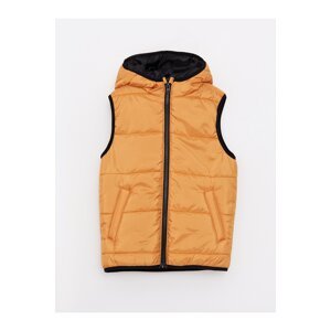 LC Waikiki Basic Boy's Inflatable Vest with a Hooded