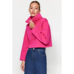 Trendyol Fuchsia Relaxed-Cut Crop Stand-Up Collar Snap Fastener, Fleece Inside Knitted Sweatshirt
