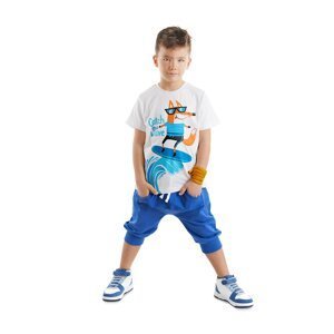 Denokids Surf Fox Boy's T-shirt Capri Shorts Set
