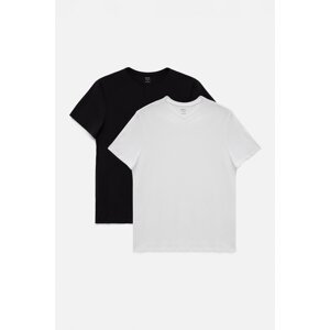 Avva Men's Black and White 2-Pack V Neck Plain 100% Cotton Regular Fit T-shirt