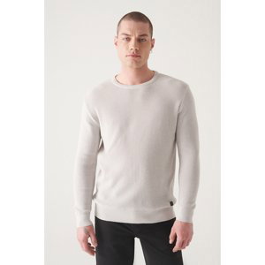 Avva Men's Light Gray Crew Neck Textured Cotton Regular Fit Knitwear Sweater