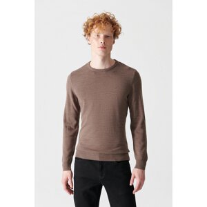 Avva Men's Mink Knitwear Sweater Crew Neck Non Pilling Regular Fit