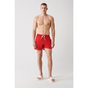 Avva Men's Red Quick Dry Printed Standard Size Swimwear, Seafood Shorts