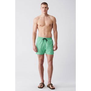 Avva Light Green Quick Dry Standard Size Plain Comfort Fit Swimsuit Sea Shorts