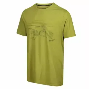 Pánské tričko Inov-8  Graphic "Helvellyn" Green