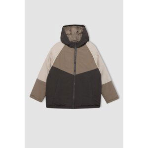 DEFACTO Boy Hooded Water Repellent Puffer Jacket