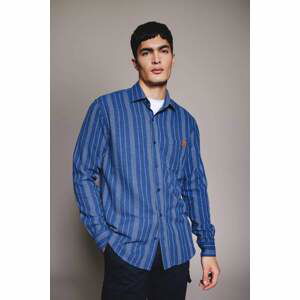 DEFACTO Regular Fit Shirt Collar Crepe Striped Long Sleeve Shirt