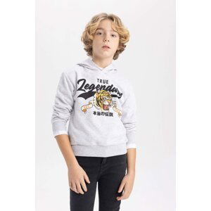 DEFACTO Boy Regular Fit Hooded Sweatshirt