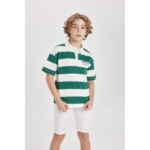 DEFACTO Boy Oversize Fit Striped Printed Polo T-Shirt
