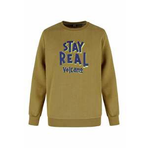 Mikina pro děti Volcano Kids's Regular Sweatshirt B-Andy Junior B01431-S22