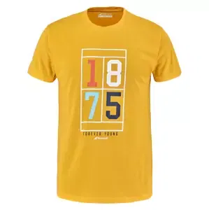 Pánské tričko Babolat  Exercise Vintage Tee Men Saffron Heather L