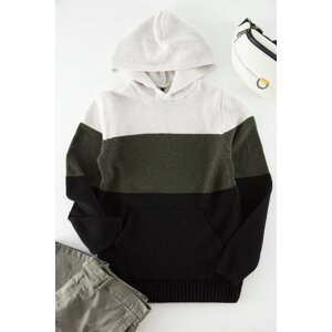 Trendyol Khaki Regular Fit Hooded Color Block Knitwear Sweater
