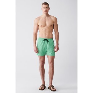 Avva Men's Light Green Quick Dry Standard Size Plain Swimwear Marine Shorts